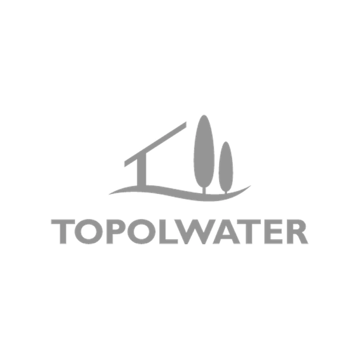 Logo TopoWater