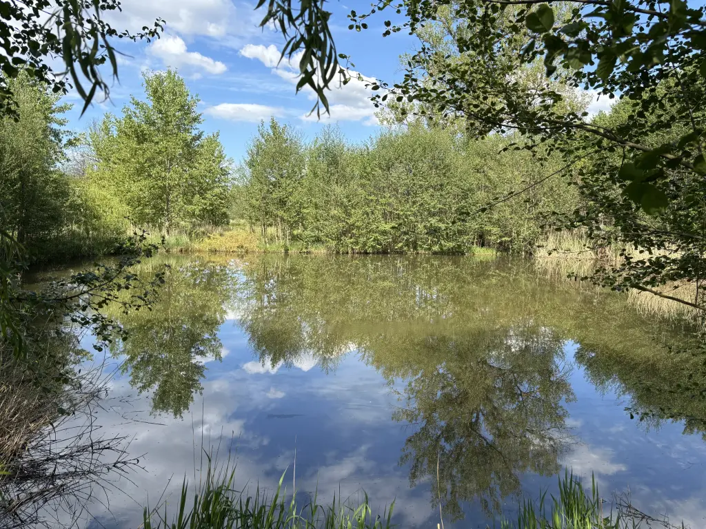 Klidná hladina tůně s odrazem stromů a oblohy